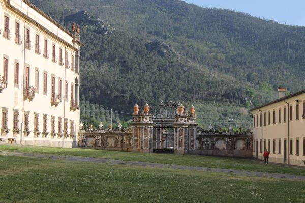Natural History Museum of the University of Pisa