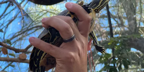 El Serpentario De La Paz