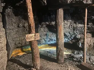 Pocahontas Exhibition Coal Mine & Museum