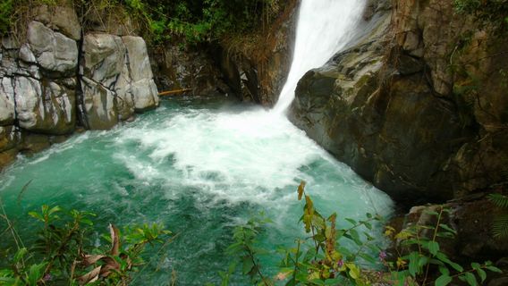 Cloudbridge Nature Reserve