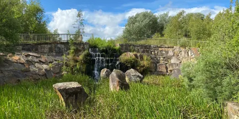 Watergate Forest Park