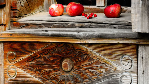 Lesopark Shcholokovskiy Khutor