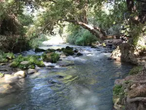 Nahal Snir Nature Preserve
