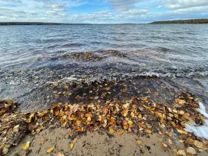 Burt Lake State Park