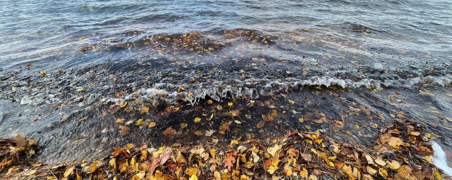 Burt Lake State Park