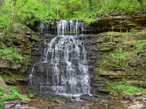 Cove Spring Park