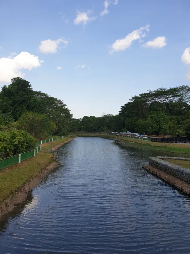 5_Springleaf Nature Park