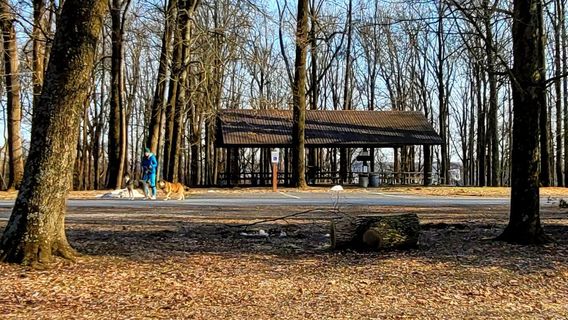 Susquehannock State Park