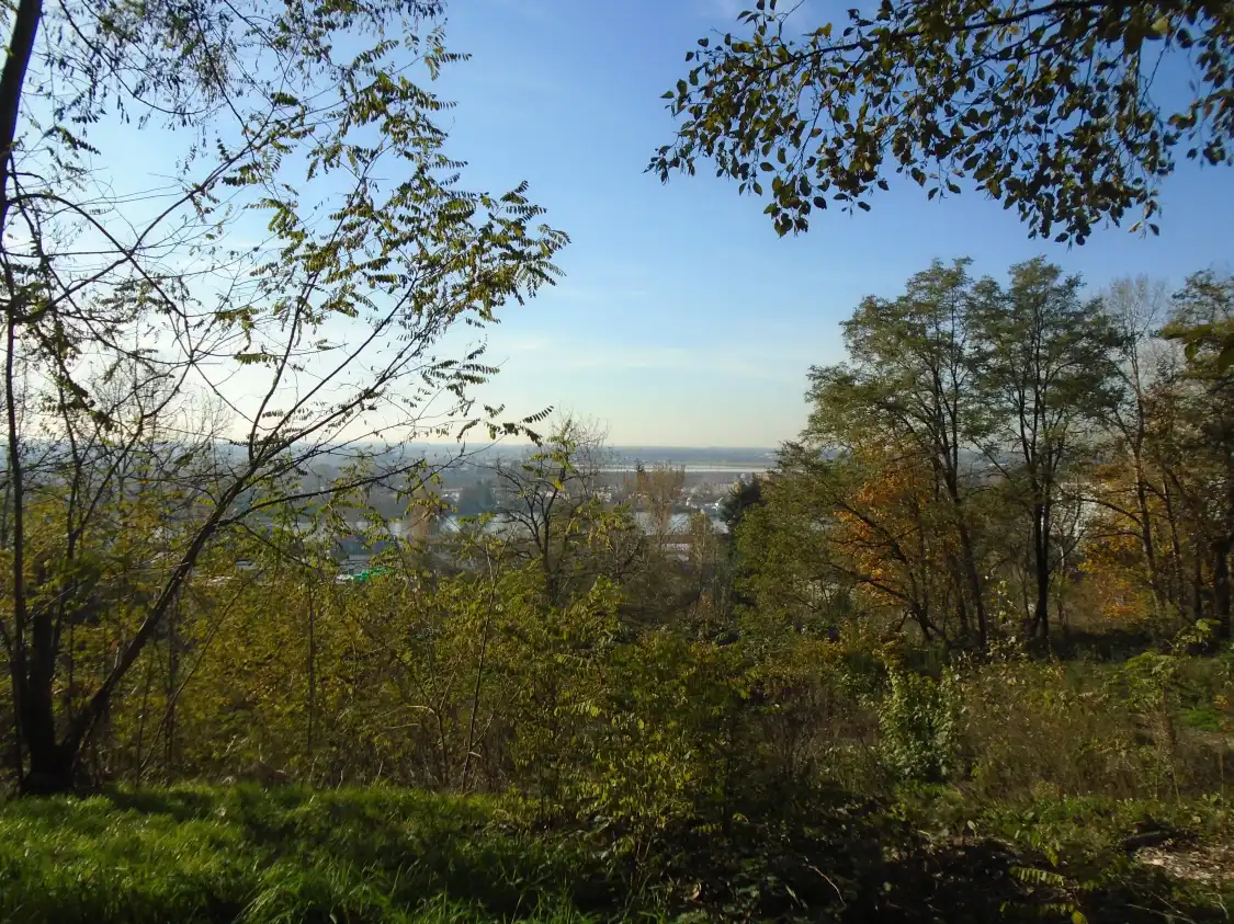 Hotels near Everett Crowley Park