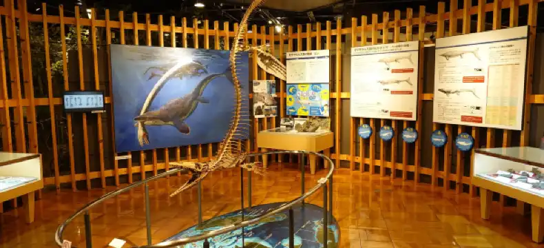 鄰近岸和田的酒店