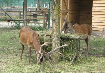 Zoo Ramnicu Valcea