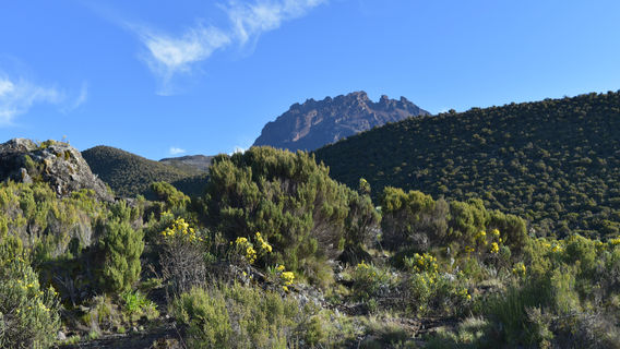 Popote Africa Adventures Ltd