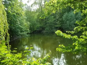 Ponds Fouchy