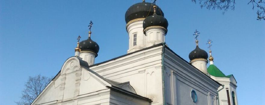 Newelski rajon