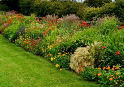 Kilcoan Gardens