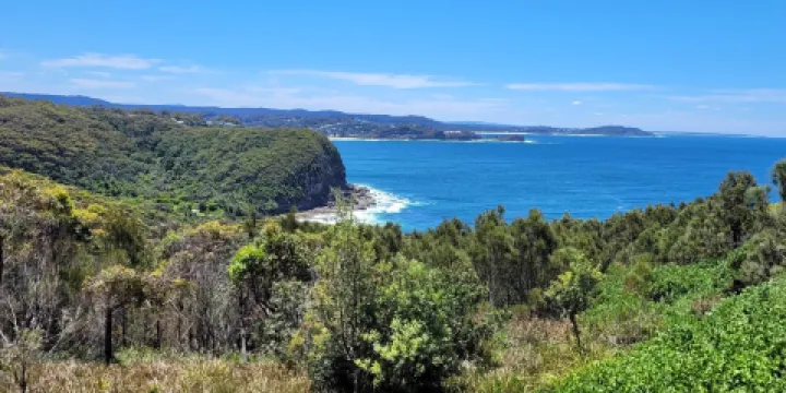 Captain Cook Lookout