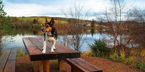 Ferrycroft Visitor Centre