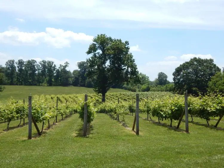 Các khách sạn ở Campbell County