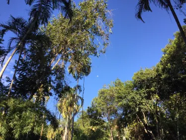 Melgar