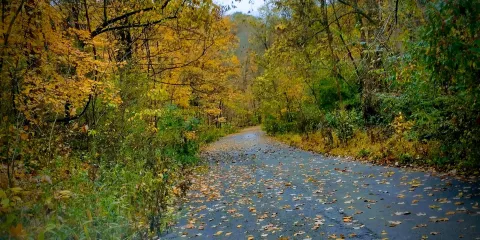 Braddocks Trail Park