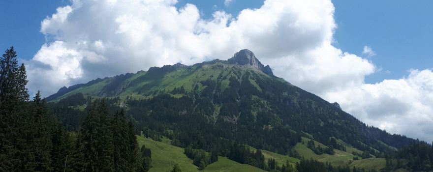 Themenweg Beat Feuz