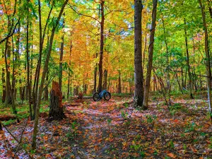 Milaca Trails