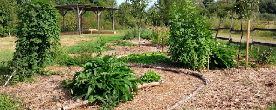 Artpiculture Garden