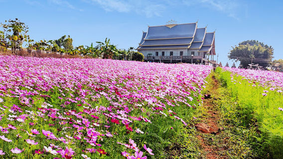 Wat Nong Kho Phrom Nimit