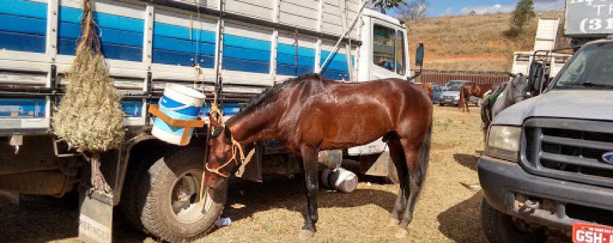 Horse club Ipatinga