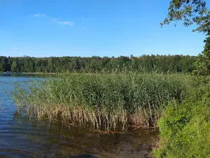 Plaża