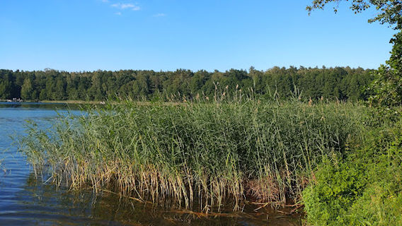 Plaża