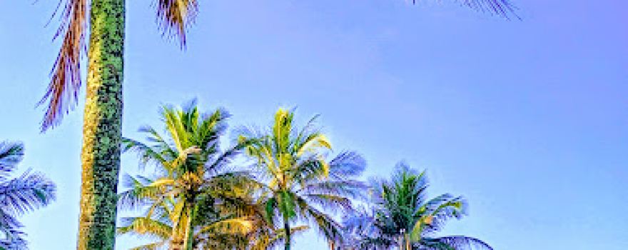 Central Square Navegantes Beach