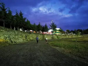 Unidad Deportiva Las Margaritas