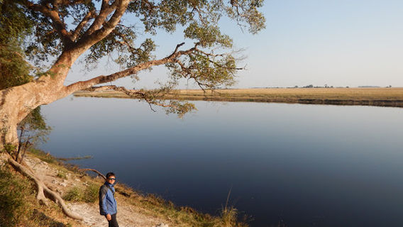 Chobe Morning River Safari