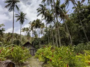 Morne Coubaril Historical Adventure Park