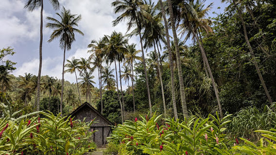 Morne Coubaril Historical Adventure Park