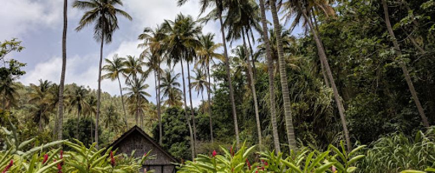 Morne Coubaril Historical Adventure Park