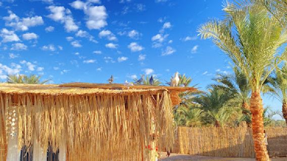 كاترينا كامب_Katrina Camp