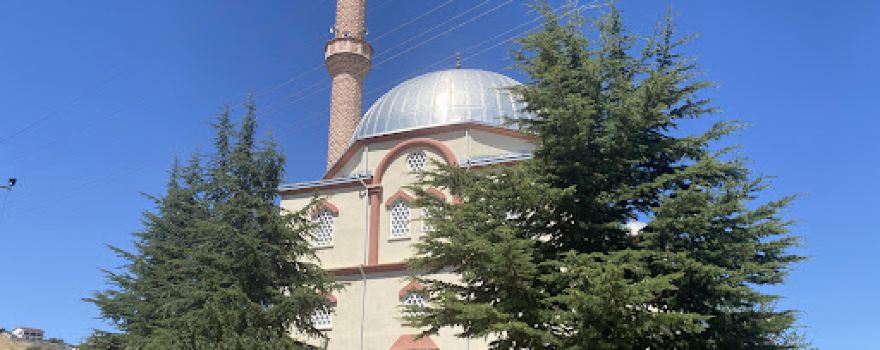 Mevlana Cami