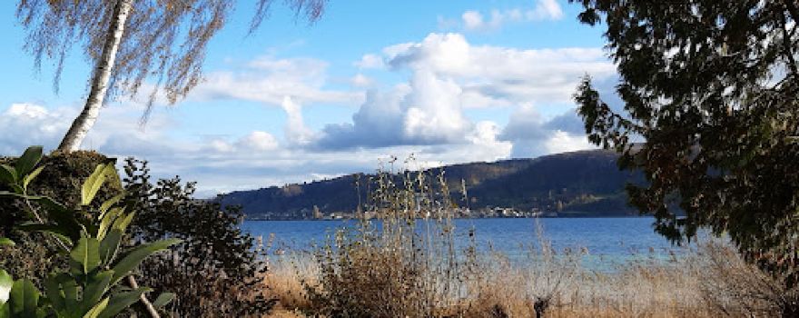Höri