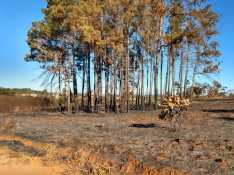 Parque Municipal De Ipameri