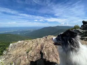 Hawksbill Summit
