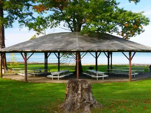 Raccoon Park