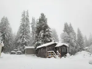 Castlegar Cabins, RV Park & Campground