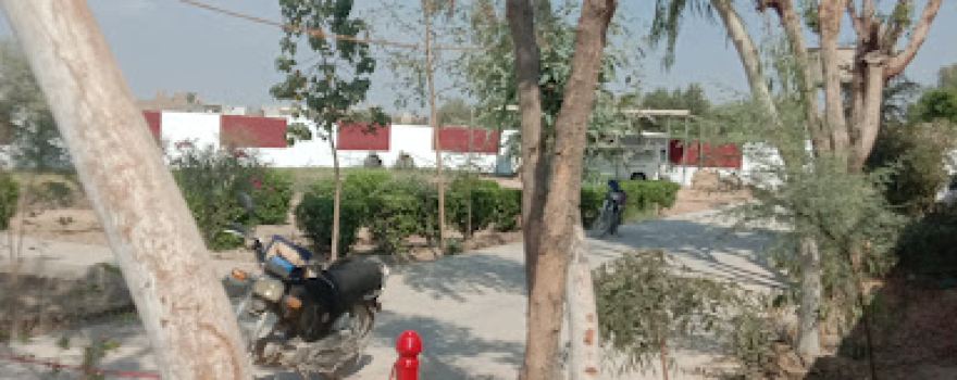 Shama Ground