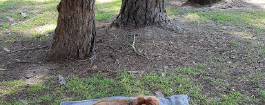 Burradoo Park
