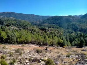 Akseki-Basin Project was acquittal Memorial Forest