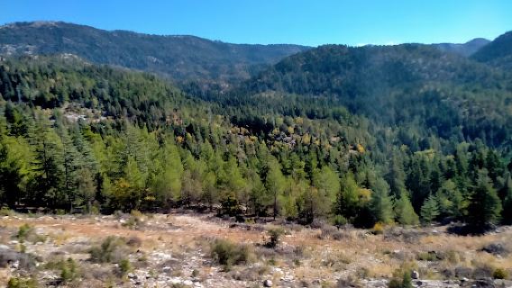 Akseki-Basin Project was acquittal Memorial Forest