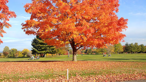 Agawam Municipal Golf Course