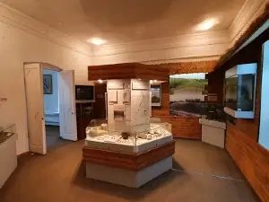 Mkts Dom Tsyplakovykh